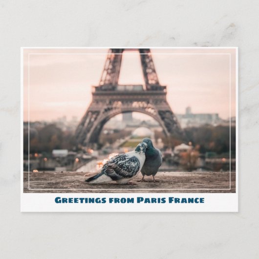Paris Eiffel Tower Love Birds Postkarte (Vorderseite)