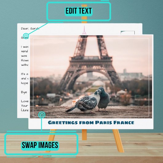 Paris Eiffel Tower Love Birds Postkarte