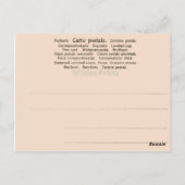 Paris Expo 1900, Pont des invalides et Rue des nat Postkarte (Rückseite)