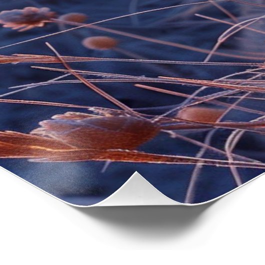 París: Fotografía Artística con Coordenadas. Poster (Ecke)