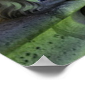 Paris France Gargoyle Poster (Ecke)