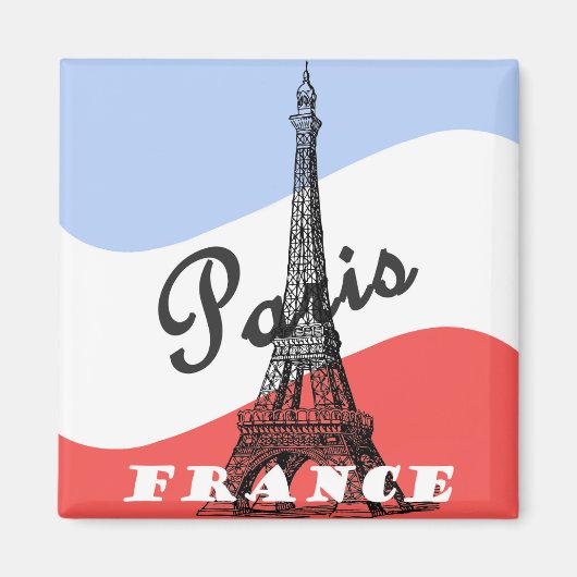 Paris-Frankreich-Reisemagnet Magnet (Vorne)