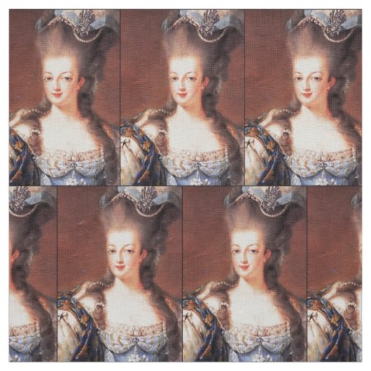 Paris French Marie Antoinette Fabric Stoff (Muster)