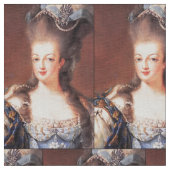Paris French Marie Antoinette Fabric Stoff (Nahaufnahme)