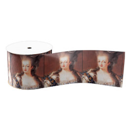 Paris French Marie Antoinette Ribbon Ripsband