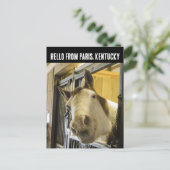 PARIS KENTUCKY HORSE POSTCARD POSTKARTE (Stehend Vorderseite)