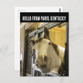PARIS KENTUCKY HORSE POSTCARD POSTKARTE (Vorne/Hinten)
