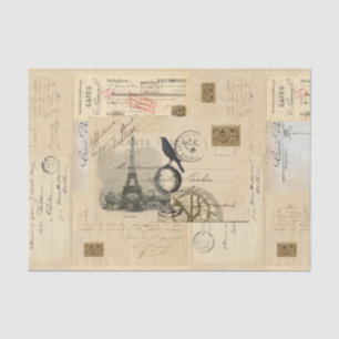 Paris Krähe Globus Französische Postkarte Seidenpa Seidenpapier