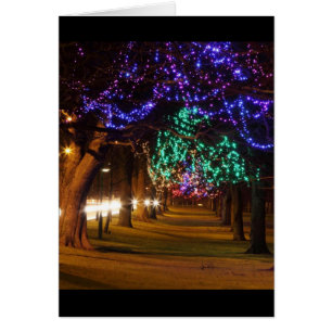 Paris Lighted Trees