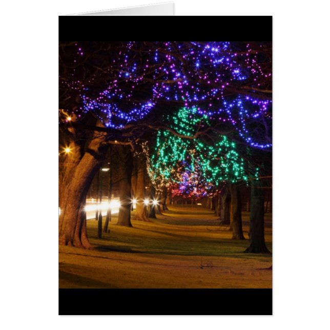 Paris Lighted Trees (Vorne)
