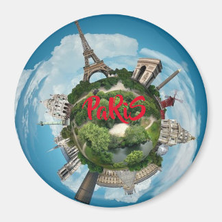 PaRiS Magnet