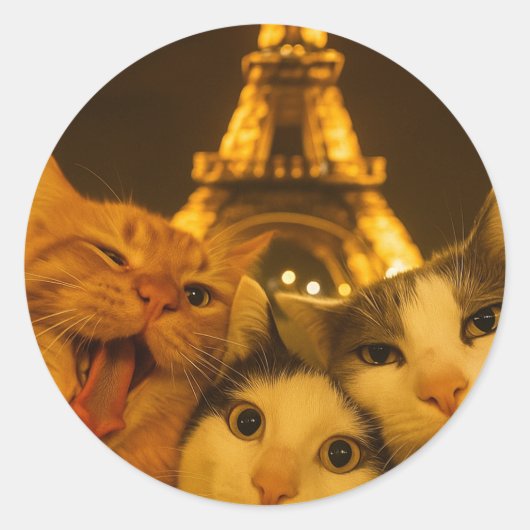Paris Nacht Katze Selfie Squad Liebhaber Runder Aufkleber (Vorderseite)