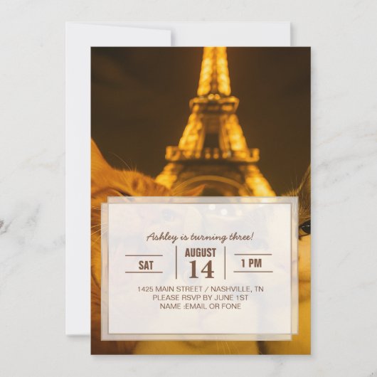 Paris Night Cat Selfie Squad Lover                 Einladung (Vorderseite)