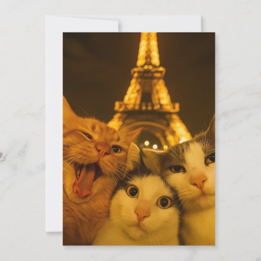 Paris Night Cat Selfie Squad Lover                 Einladung (Rückseite)