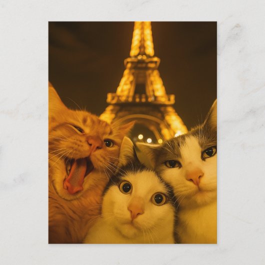 Paris Night Cat Selfie Squad Lover                 Postkarte (Vorderseite)