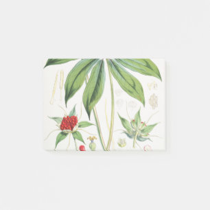 Paris Polyphylla Smith Blume Floral Post-it Klebezettel