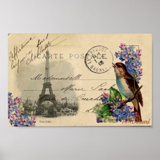 Paris Postcard Bird auf Lilacs Poster oder Print (Vorne)