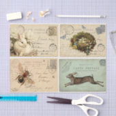 Paris Postkarten Seidenpapier (Handwerk)