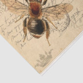 Paris Postkarten-Tissue Paper Seidenpapier (Ausschnitt)