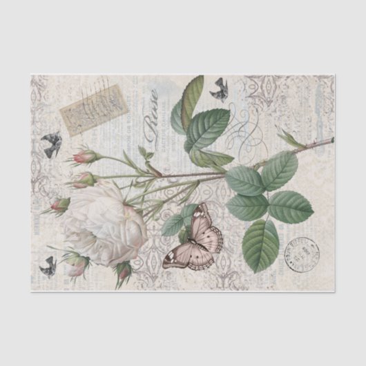 Paris Rose Seidenpapier (Vorderseite)