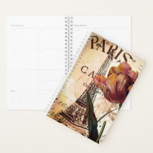 Paris-Tulpe Planer