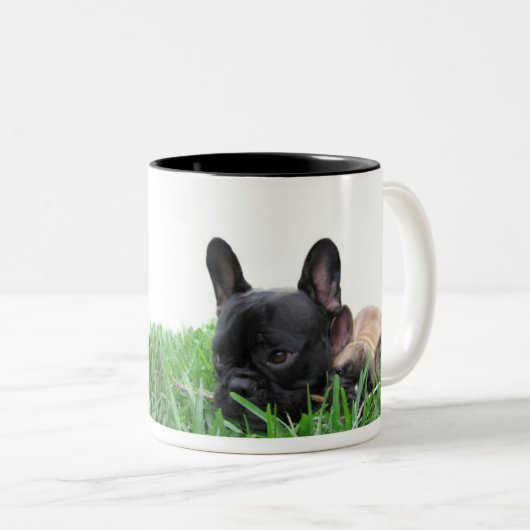 Paris und Monaco im Gras Zweifarbige Tasse (VorderseiteRechts)