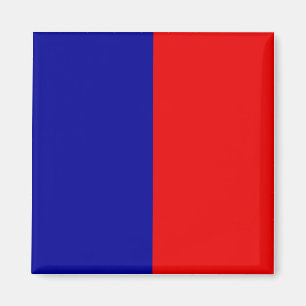 Pariser Flagge Magnet