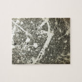 Parisstraßen-und -Gebäude-Vintage Karte Puzzle (Horizontal)