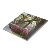 Park-Azaleen Oa Savanne-Georgia im Frühjahr Fliese (Seite)