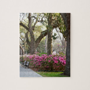 Park-Azaleen Oa Savanne-Georgia im Frühjahr Puzzle