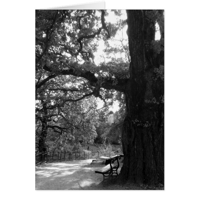 Park Bench (Vorne)
