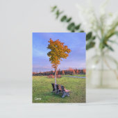 Park Bench Alaska - Postkarte (Stehend Vorderseite)