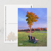 Park Bench Alaska - Postkarte (Vorne/Hinten)