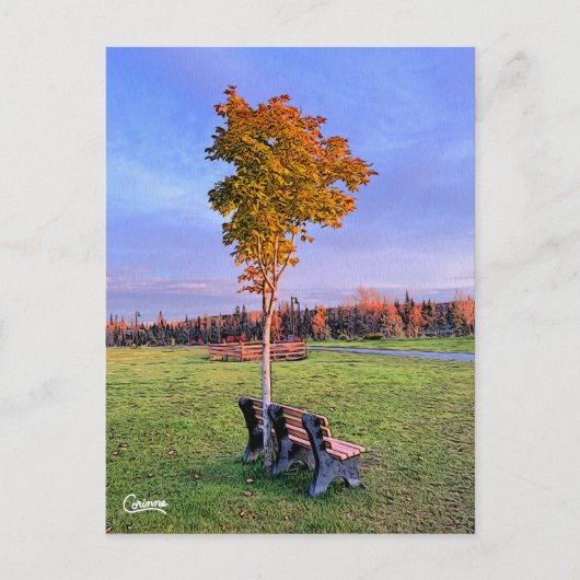 Park Bench Alaska - Postkarte (Vorderseite)