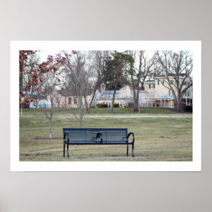 Park Bench Foto Poster