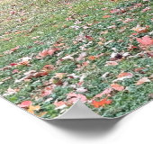 Park Bench im Herbstposter Poster (Ecke)