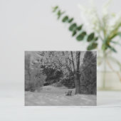 Park Bench im Winter Postkarte (Stehend Vorderseite)