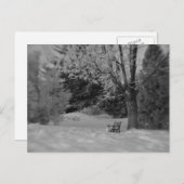 Park Bench im Winter Postkarte (Vorne/Hinten)