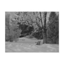 Park Bench im Winter