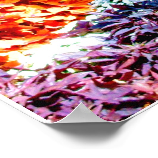 Park Bench Locarno Poster (Ecke)