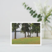 Park Bench Locarno Postkarte (Stehend Vorderseite)