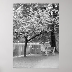 Park Bench Poster