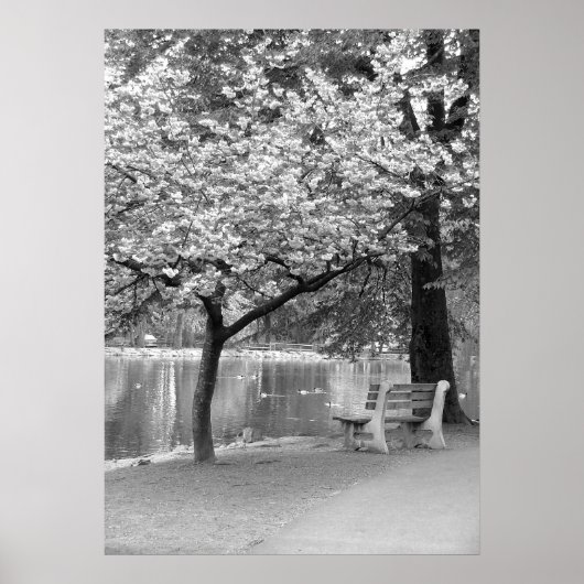 Park Bench Poster (Vorne)