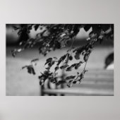 Park Bench Poster (Vorne)