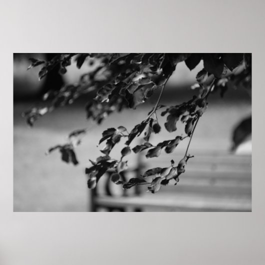 Park Bench Poster (Vorne)