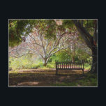 Park Bench Postkarte<br><div class="desc">Friedlicher Ruheplatz.</div>