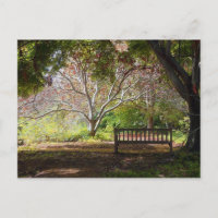 Park Bench