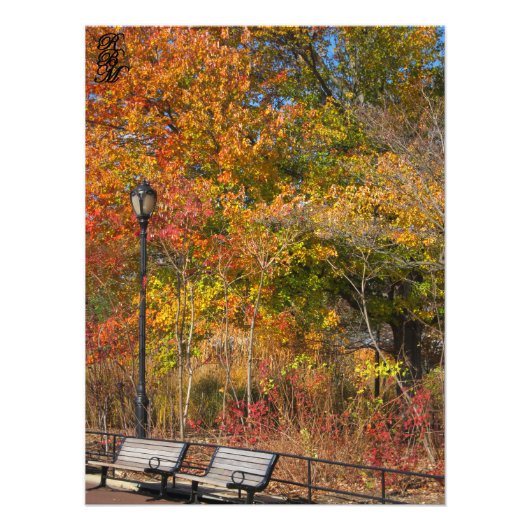 Park Bench und Herbstbänke Fotodruck (Vorne)