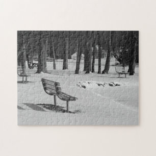 Park Benches Among a Mid Winters Scene Family Fun Puzzle