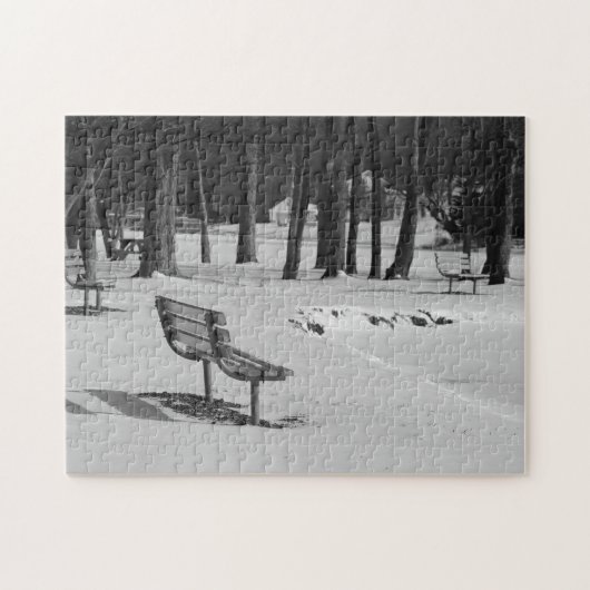 Park Benches Among a Mid Winters Scene Family Fun Puzzle (Horizontal)
